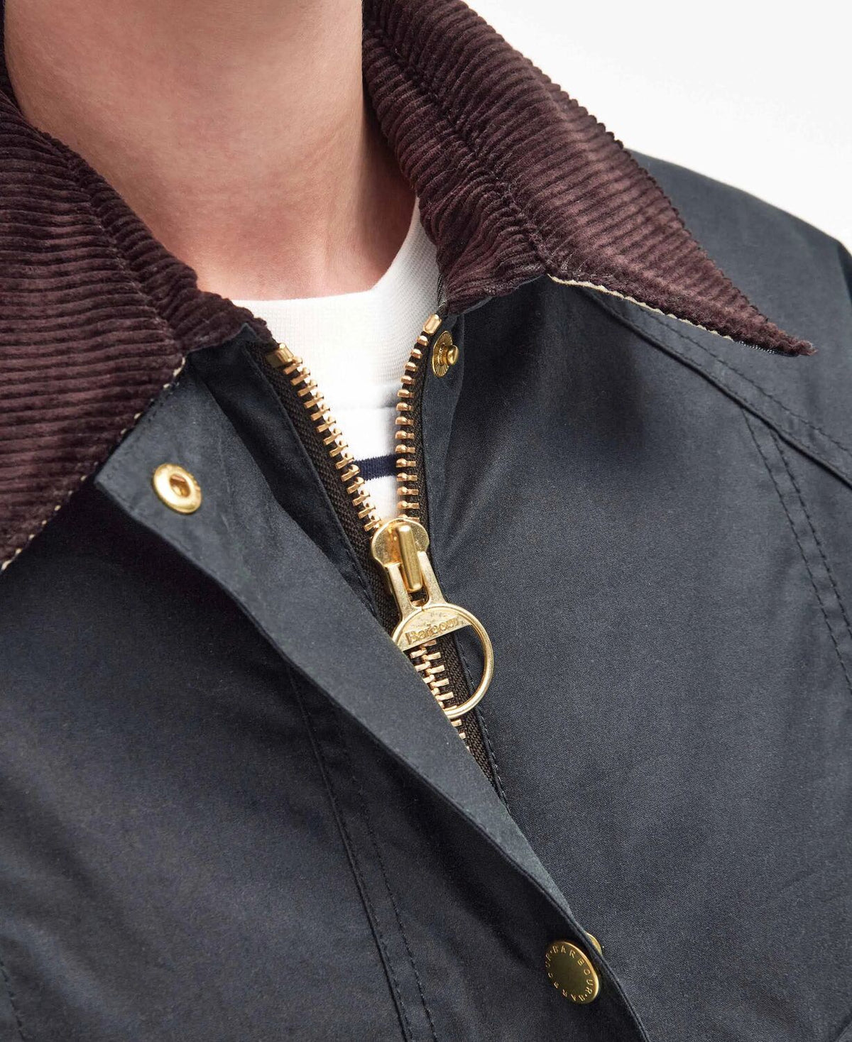 modern beadnell wax<BR/> 